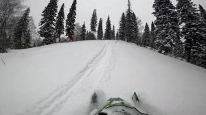 Как ушатать себя и своих товарищей на горных снегоходах. Polaris PRO RMK 850, Assault 800, Cat M800