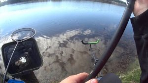 Рыбалка на платном водоеме, река Гжелка. Чемпионат Московской области по ловле поплавочной удочкой