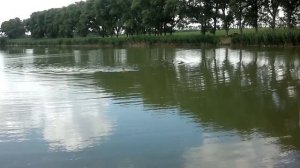 на пруду в станице Атаманской