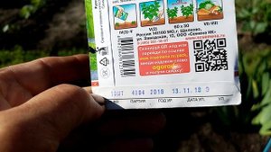 Последняя Посадка Огурцов "РОДНИЧОК и НАФ -ФАНТО".   часть1.  10 июля 2020г.