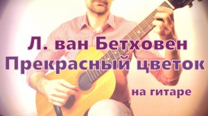 Людвиг ван Бетховен - Прекрасный цветок на классической гитаре (звучит советская гитара - луначарка)