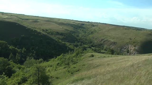 Природный парк «Щербаковский»