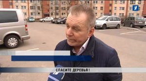 ПБК: Спасти деревья !