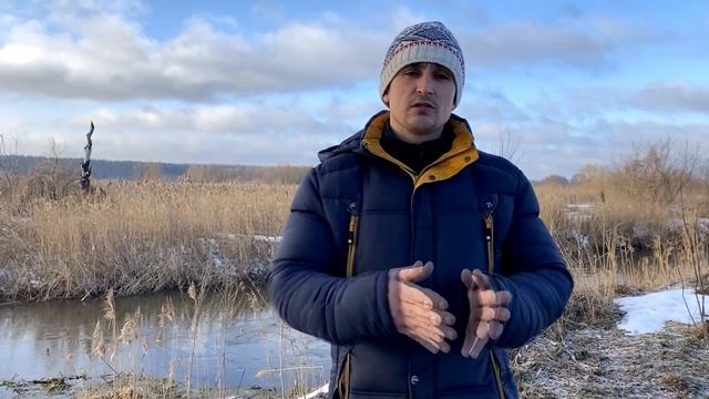 Как ухаживать за лапами собаки