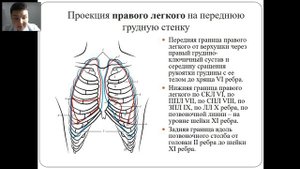Топографическая анатомия груди