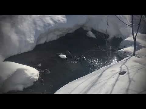 Теленеделя. Урал 2023.