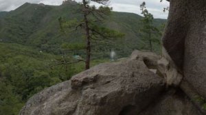 Чаша | Парк драконов | Приморский край | с. Чистоводное | 2021