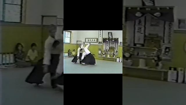 Ueshiba Moriteru Doshu / Kodenkan Ippaimori Dojo