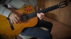 『The Secret』(Desperado) meet LucasGitanoFamily【flamenco guitar cover】