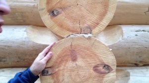 Дом из бревна большого диаметра