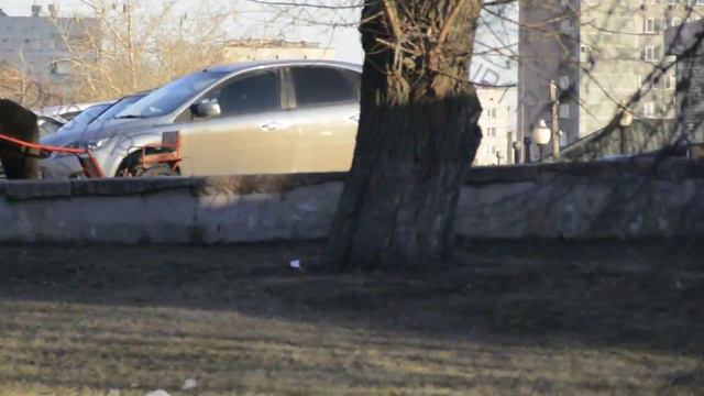 Взбесившийся пони смотреть онлайн