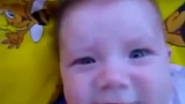 Прикол!!! пытается рычать смотреть онлайн