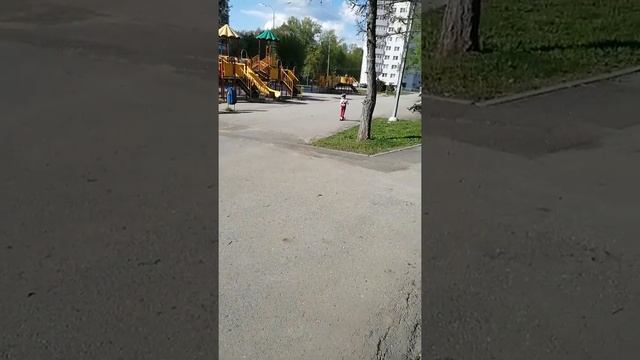 Дети катаются на самокатах. смотреть онлайн