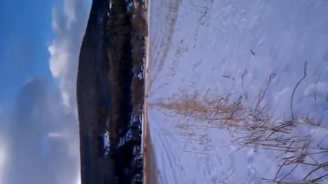 Polaris dragon 800 смотреть онлайн