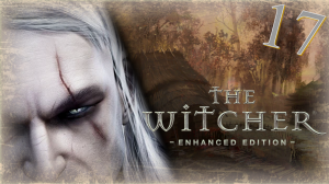 The Witcher (Ведьмак) - Прохождение Часть 17 (Лес На Болотах Ч.1)