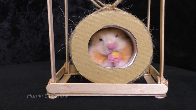 Хомячок Бобби Кушает. Видео с Хомяками