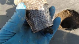 Лайфхак по высадке рассады клубники в стаканчиках