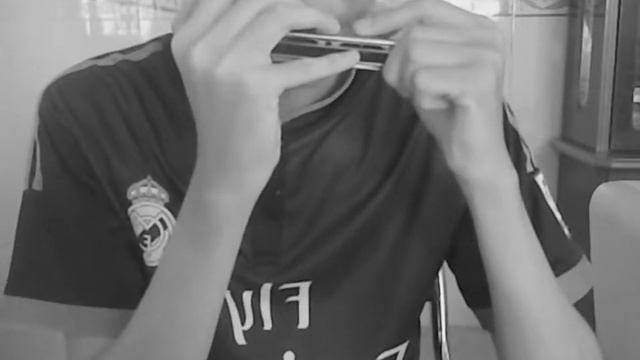 Điều Anh Biết harmonica bản lỗi ( Sáo trúc Nhơn Trạch) смотреть онлайн