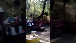Святой источник д. Авдотьино Щелковский р-н МО