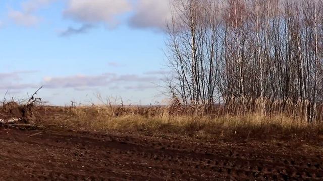 Туманный день. 08.11.2017. смотреть онлайн