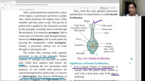 * EduCraft, Narendra Nagar ,Nagpur ( L-12) Biology: Reproduction In Lower & Higher Plants