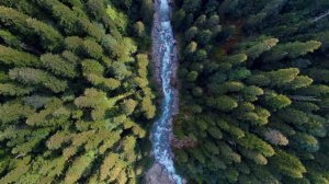 Дорожное Радио