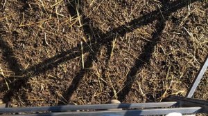 Кормушка для овец из профиля своими руками .