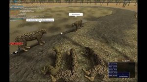 Leopard Role Play |Roblox Wild Savannah|