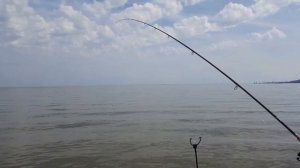 Пеленгас  Рыбалка на Таганрогском заливе