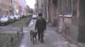 Как убирать какашки за собакой...