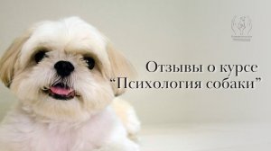 Отзывы о курсе по зоопсихологии "Психология собаки"