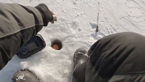 Рыбалка на сига зимой. Онежское озеро. Побил свой рекорд по сигу. Рыбалка в Карелии 2021