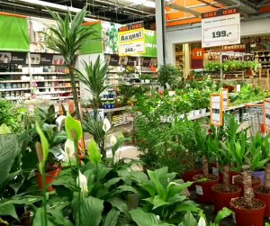 Цветочная Прогулка По Оби?⚘