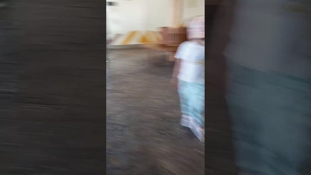 Увлекательное путешествие в зоопарк Казани... смотреть онлайн