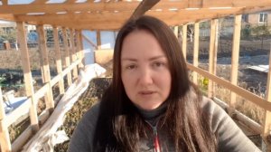 Как хранить саженцы ежевики зимой