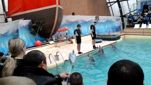 Ростовский дельфинарий 4 смотреть онлайн