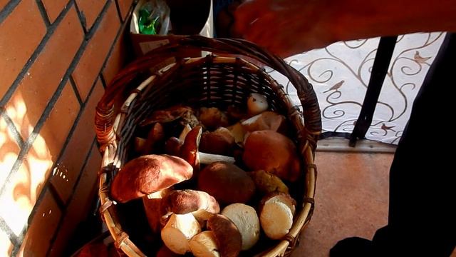 Рецепт. Наши лесные северные грибочки .  Муж привез.  Варим..Жарим..