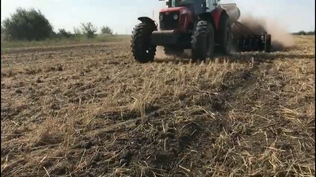 Сеем рапс