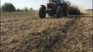 Сеем рапс