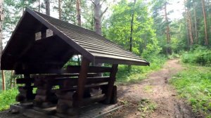 Терринкур г. Белокуриха 2024г.