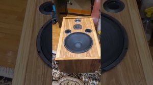 Акустика ArtSound авторская , новая сборка на 12" динамиках из китая , первый запуск