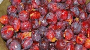 Варенье из слив без варки