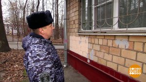 Новогодние домушники. Доброе утро. Фрагмент выпуска от 16.12.2019