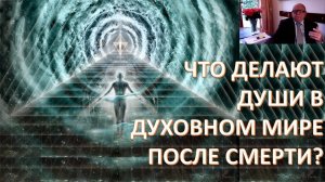 Жизнь после смерти. Шмидт Давид Николаевич