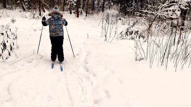 Гуляем на лыжах в лесу! Дети сами готовят обед, а на ужин готовлю самсу! смотреть онлайн