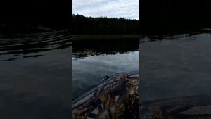 F5 ВМS и тайга 290 слань киль