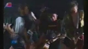 Дубы-Колдуны - Клён