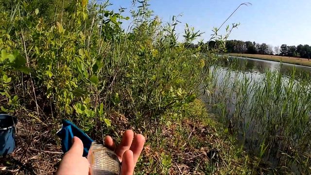 Карась на Удочку и на Искусственного Мотыля - МОРМЫШИНГ Рулит!!! смотреть онлайн