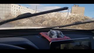 Chery Tiggo 7 Pro Режим работы передних и заднего дворников смотреть онлайн