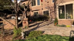 #77 Весенний сад. Пересадка цветов.